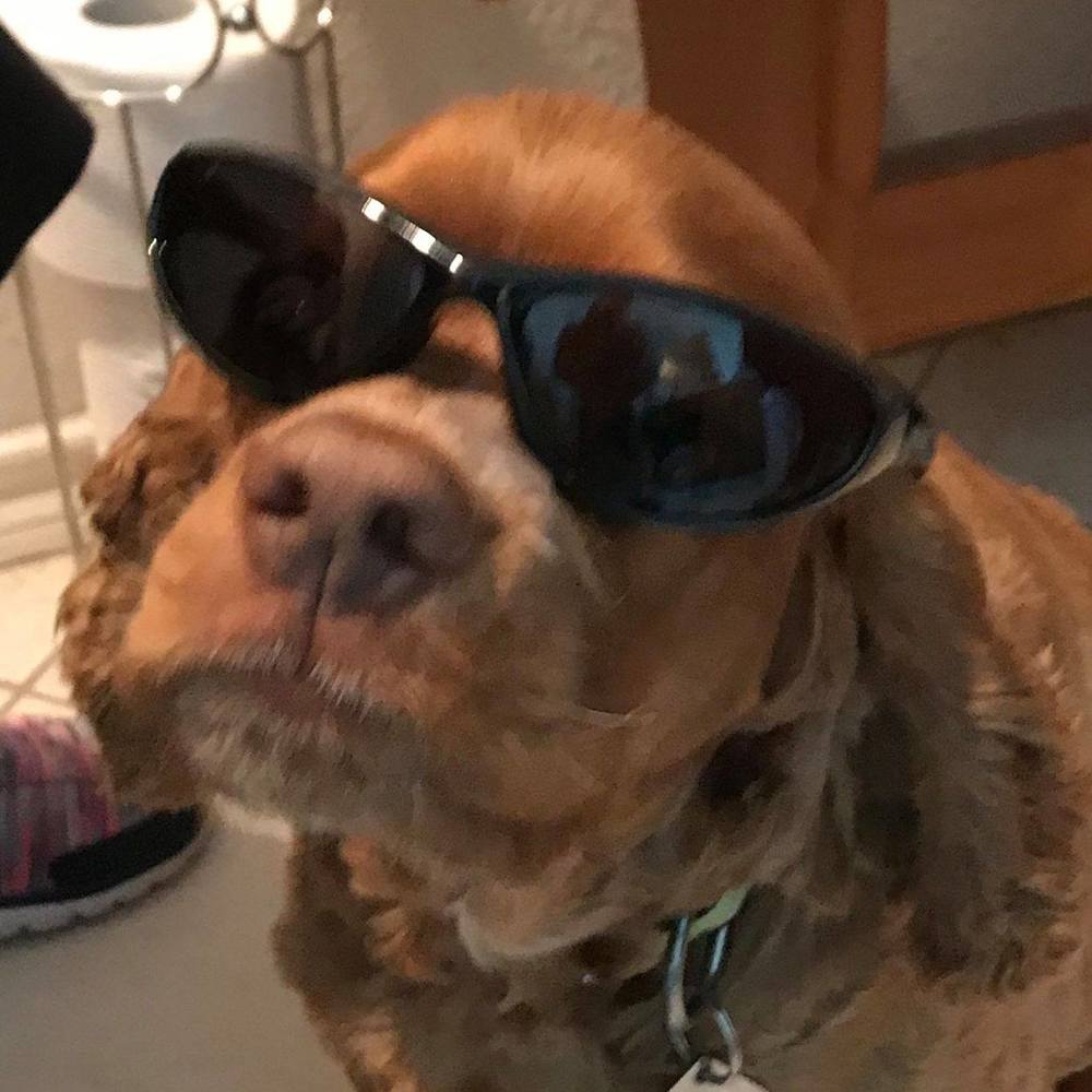 Meet your Posher, Karla